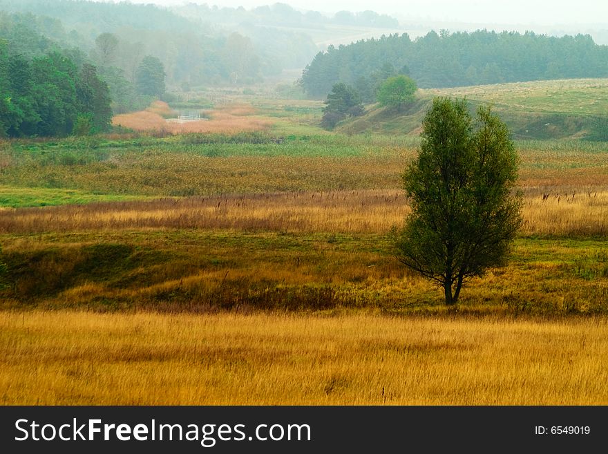 An image of meadow with lonely tree. An image of meadow with lonely tree