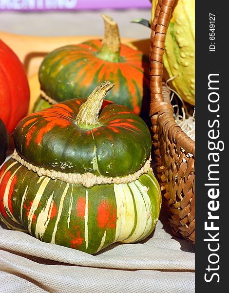 Fancy pumpkin on a peasant market under light of the sun