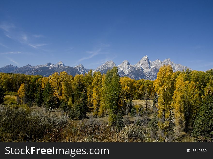 Grand Teton National Park with Horses in the foreground