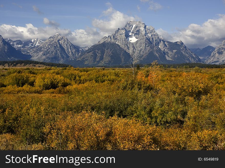 Grand Teton National Park with Horses in the foreground