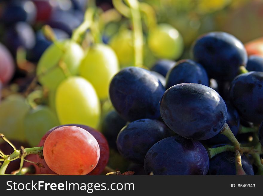 Healthy fruits - apples and grape. Healthy fruits - apples and grape