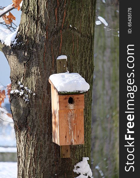 Birdhouse in winter scenery covered by a snow