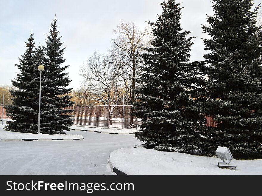 Snowy winter landscape on the streets of St. Petersburg