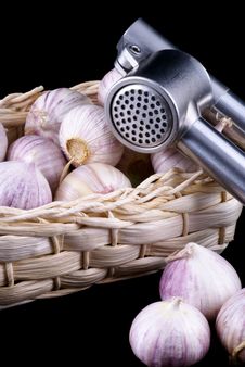 Wonderful Garlic. Royalty Free Stock Photography Wonderful Garlic. Royalty Free Stock Photography