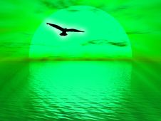The Sun Royalty Free Stock Photos The Sun Royalty Free Stock Photos