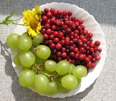The Autumn Still Life Stock Photos The Autumn Still Life Stock Photos