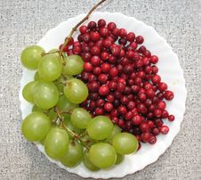 The Autumn Still Life Royalty Free Stock Image The Autumn Still Life Royalty Free Stock Image