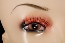 Mannequin Eye Stock Images Mannequin Eye Stock Images