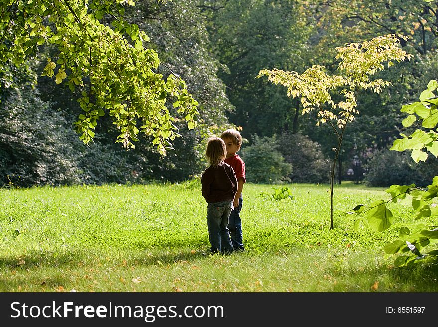 Little boy and girl look at the leaves of tree. Little boy and girl look at the leaves of tree.