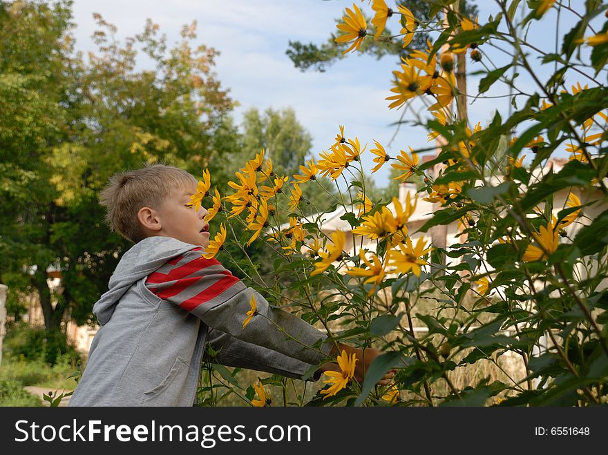 Boy frightened bumblebee, outdoors, flowers