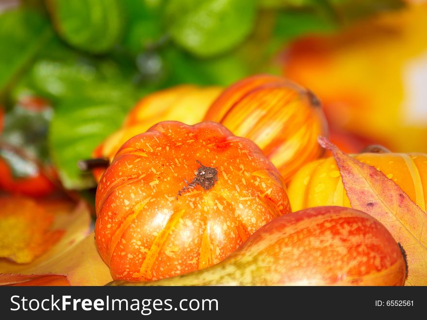 Halloween decoration with small pumpkins and leafs. Halloween decoration with small pumpkins and leafs.