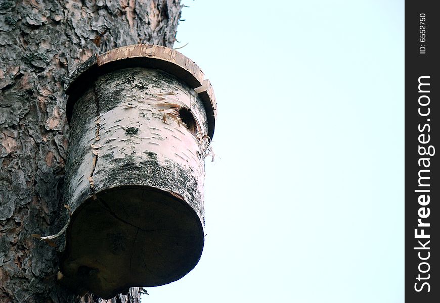 Nesting-box in the blue background