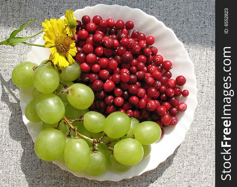 The autumn still life. Green grape, cranberries and helenium on the white plate.