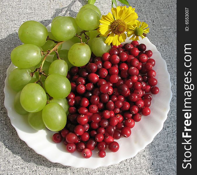 The autumn still life. Green grape, cranberries and helenium on the white  plate.