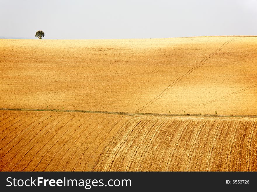Countryside landscape: field and meadow in north Italy
