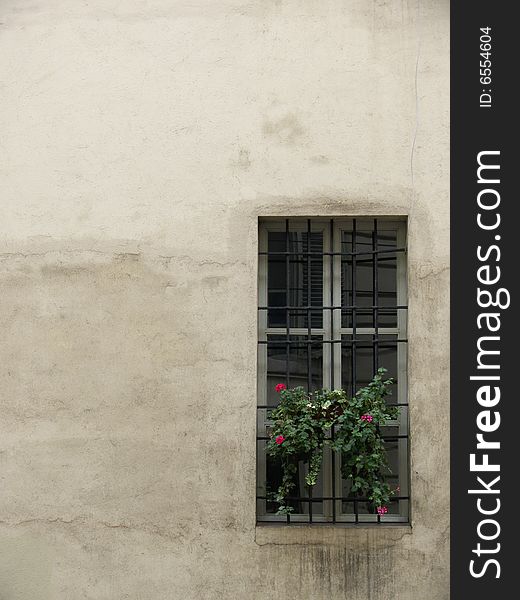 Window with flowers on dusty wall