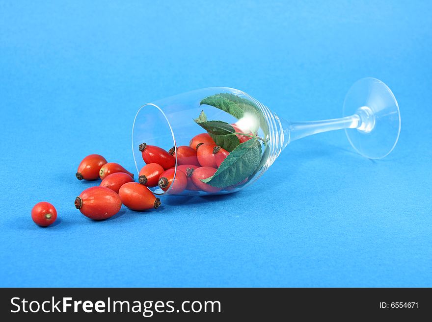 Lying wineglass with wild rose on blue background