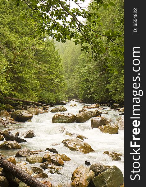 A mountain stream with rapids past rocks. A mountain stream with rapids past rocks