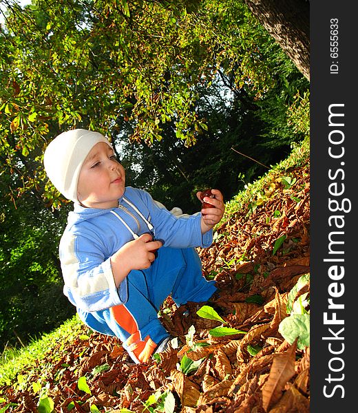 Autumn, little boy play with leaves and chestnuts, baby play in park
