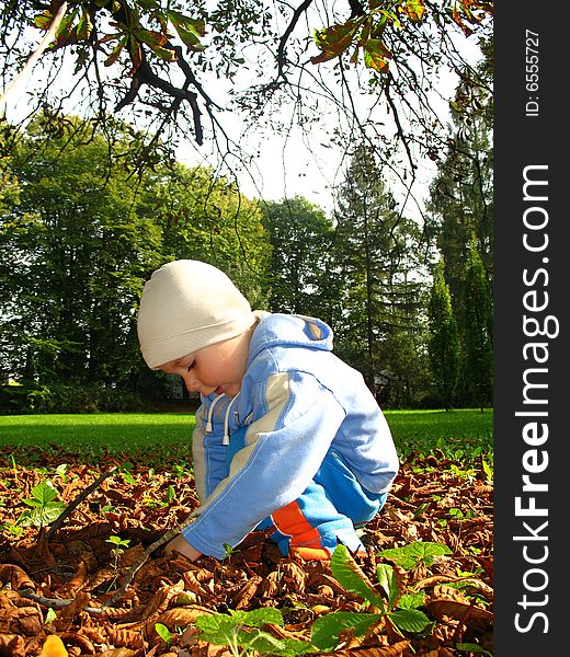 Autumn, little boy play with leaves and chestnuts, baby play in park