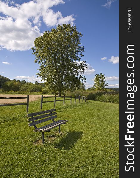 Wooden bench on green grass in early autumn. Wooden bench on green grass in early autumn