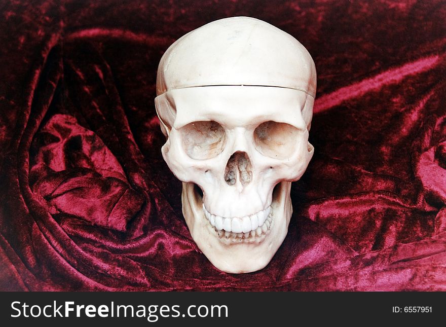 Human skull replica in red velvet background.