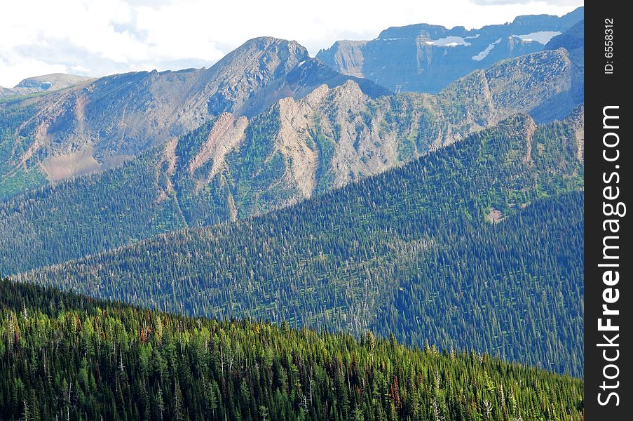 Moutain And Trees