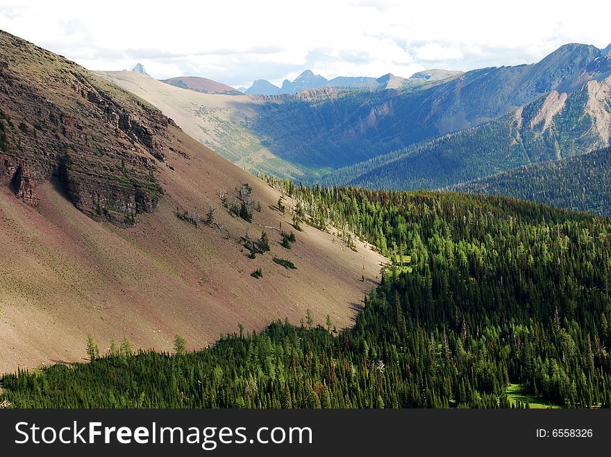 Moutain and trees