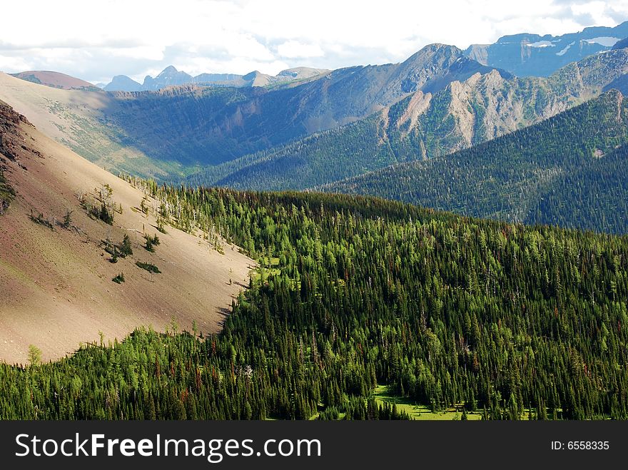 Moutain And Trees