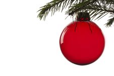 Christmas Tree Ball Royalty Free Stock Photos Christmas Tree Ball Royalty Free Stock Photos