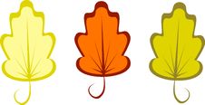 Design Autumn Leafs Royalty Free Stock Photography