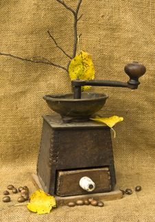 A Coffee Mill In The Mood Of Autumn Royalty Free Stock Image