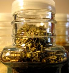 Oregano Closeup Royalty Free Stock Image Oregano Closeup Royalty Free Stock Image