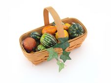 Basket Of Gourds Stock Photos Basket Of Gourds Stock Photos