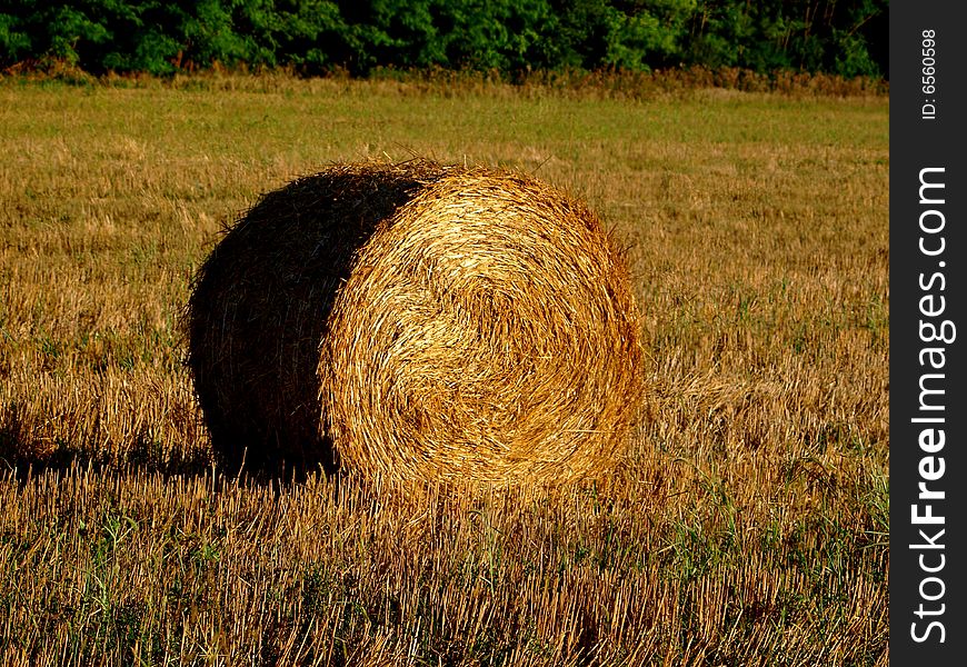 An original shot of an hay's roll in a field