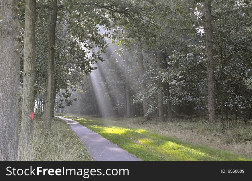 Sun creating beams in the haze. Sun creating beams in the haze.