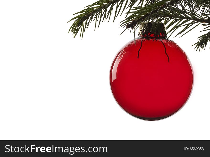 Red christmas tree ball hanging from spruce leaf