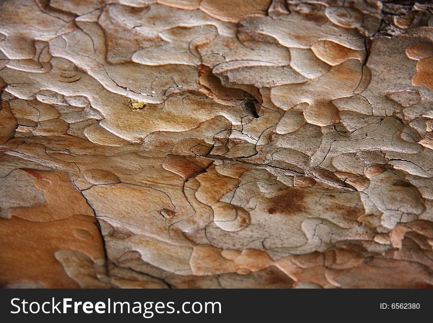 Wooden Background