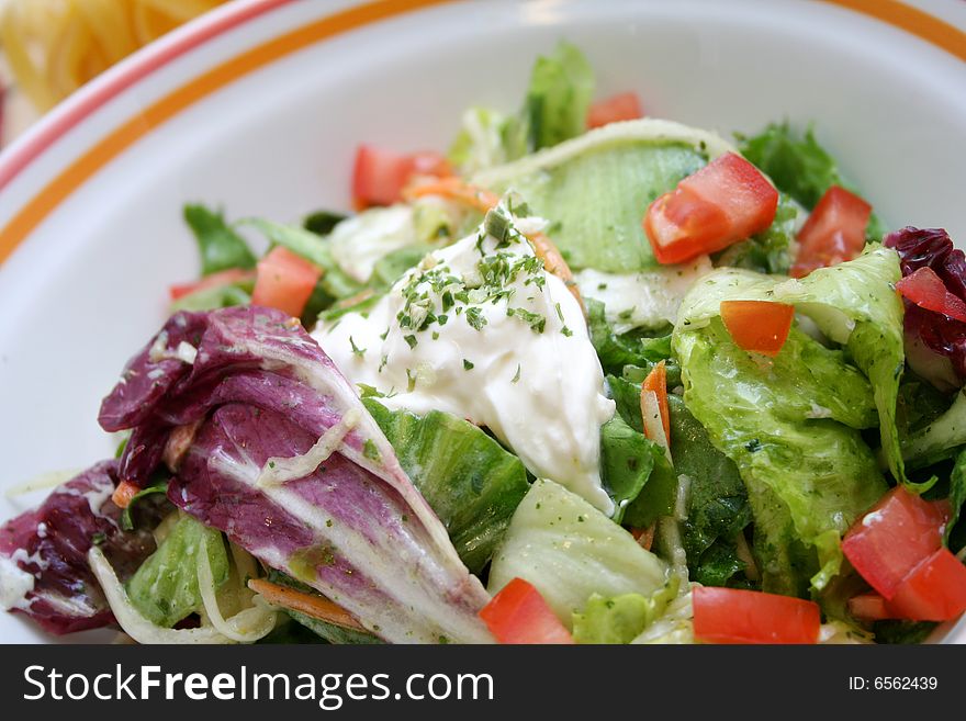 A fresh salad of green salad with tomatoes. A fresh salad of green salad with tomatoes