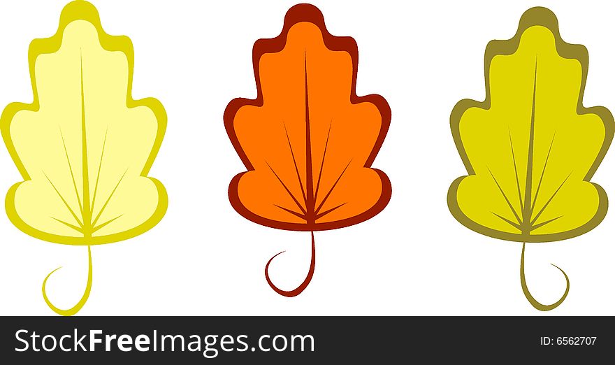 Design autumn leafs for your design