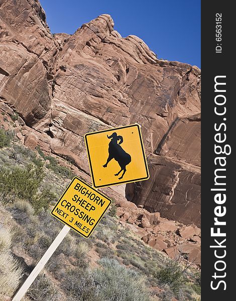 Be careful! - Sheep Crossing! - Arches national park