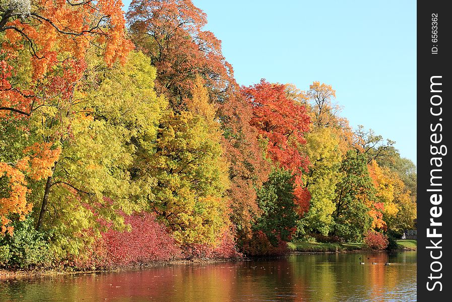 Fall reflection on the pond. Fall reflection on the pond