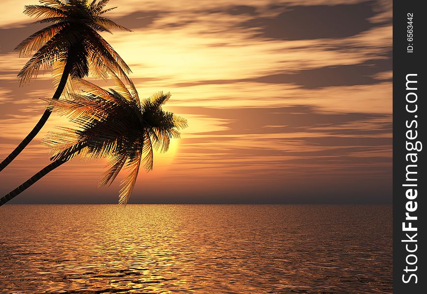 Sunset coconut palm trees on small island .