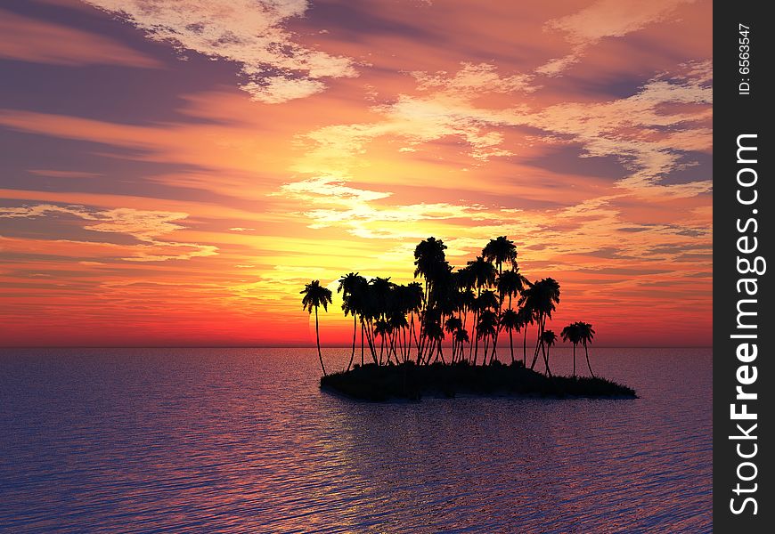 Sunset coconut palm trees on small island .