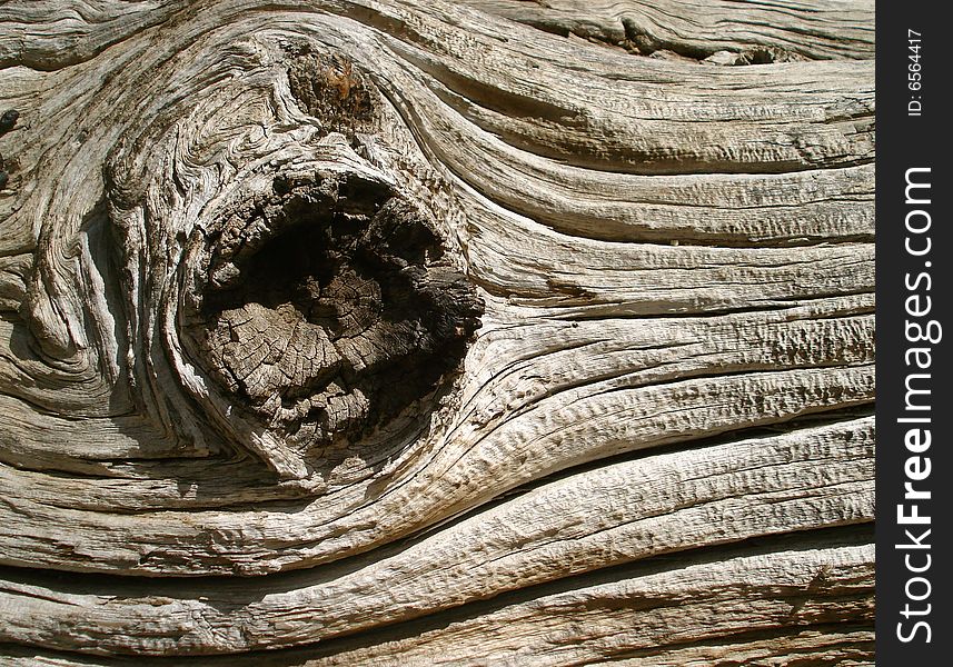 An old weathered log has a large knot. An old weathered log has a large knot.