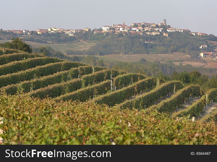 Monferrato landscape: famous italian wine production area. Camagna, Piemonte , Italy. Monferrato landscape: famous italian wine production area. Camagna, Piemonte , Italy