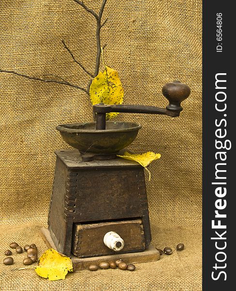 A coffee mill in the mood of autumn
