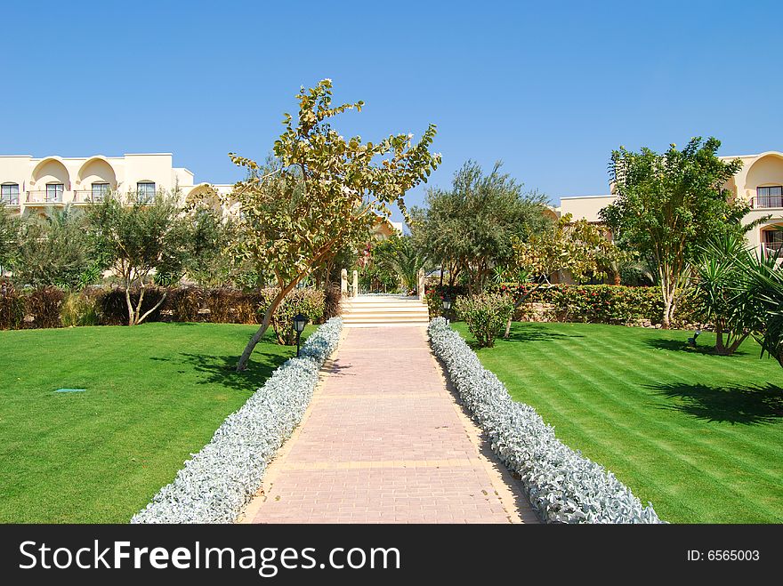 Garden on the sunny day