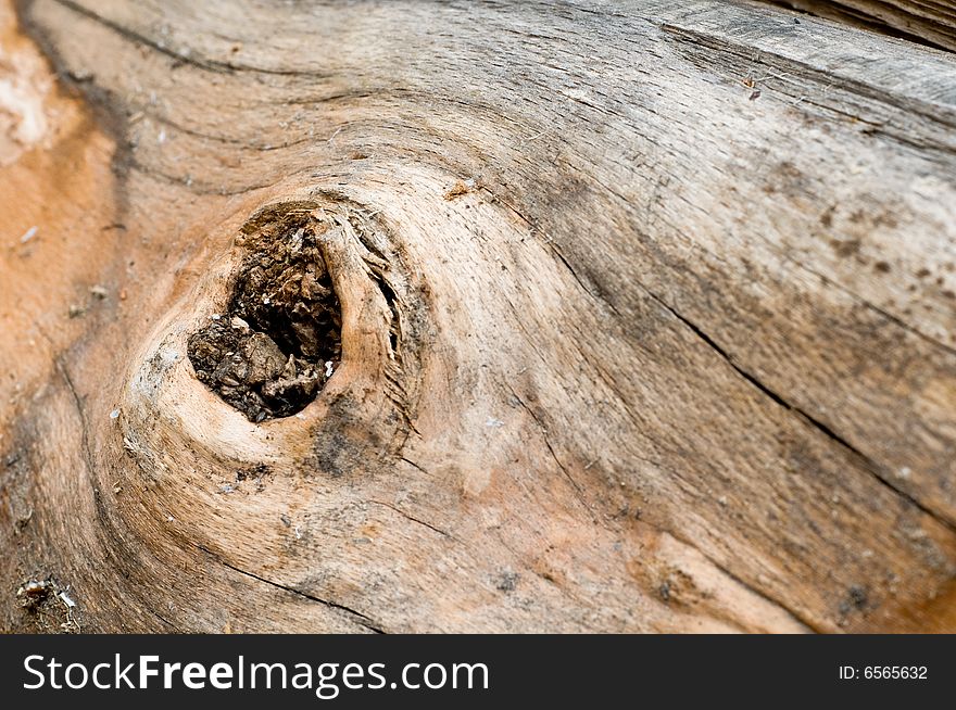 Image of wood texture close-up