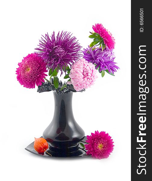 Black vase with bouquet beautiful and asters on white background